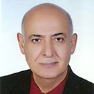 Bijan Amiri